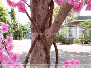 cây hoa đào giả