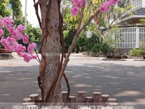 cây hoa đào giả