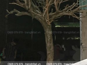 cây điều ước trang trí tết