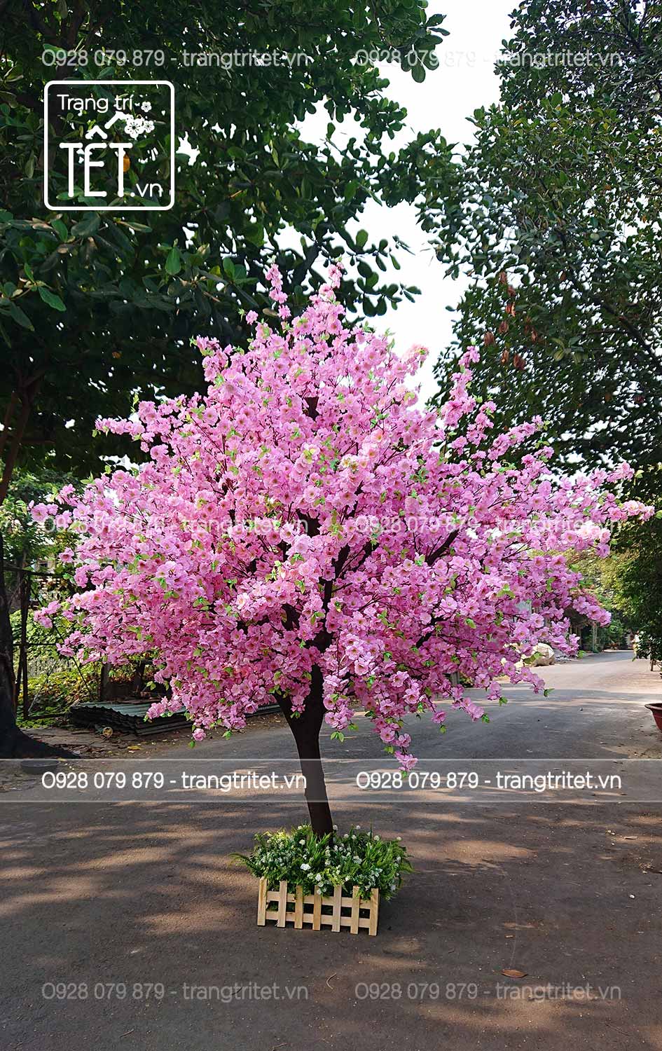 cay-hoa-anh-dao-gia cây đào giả