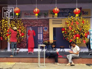 tiểu cảnh trang trí tết