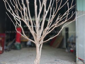gốc cây khô trang trí
