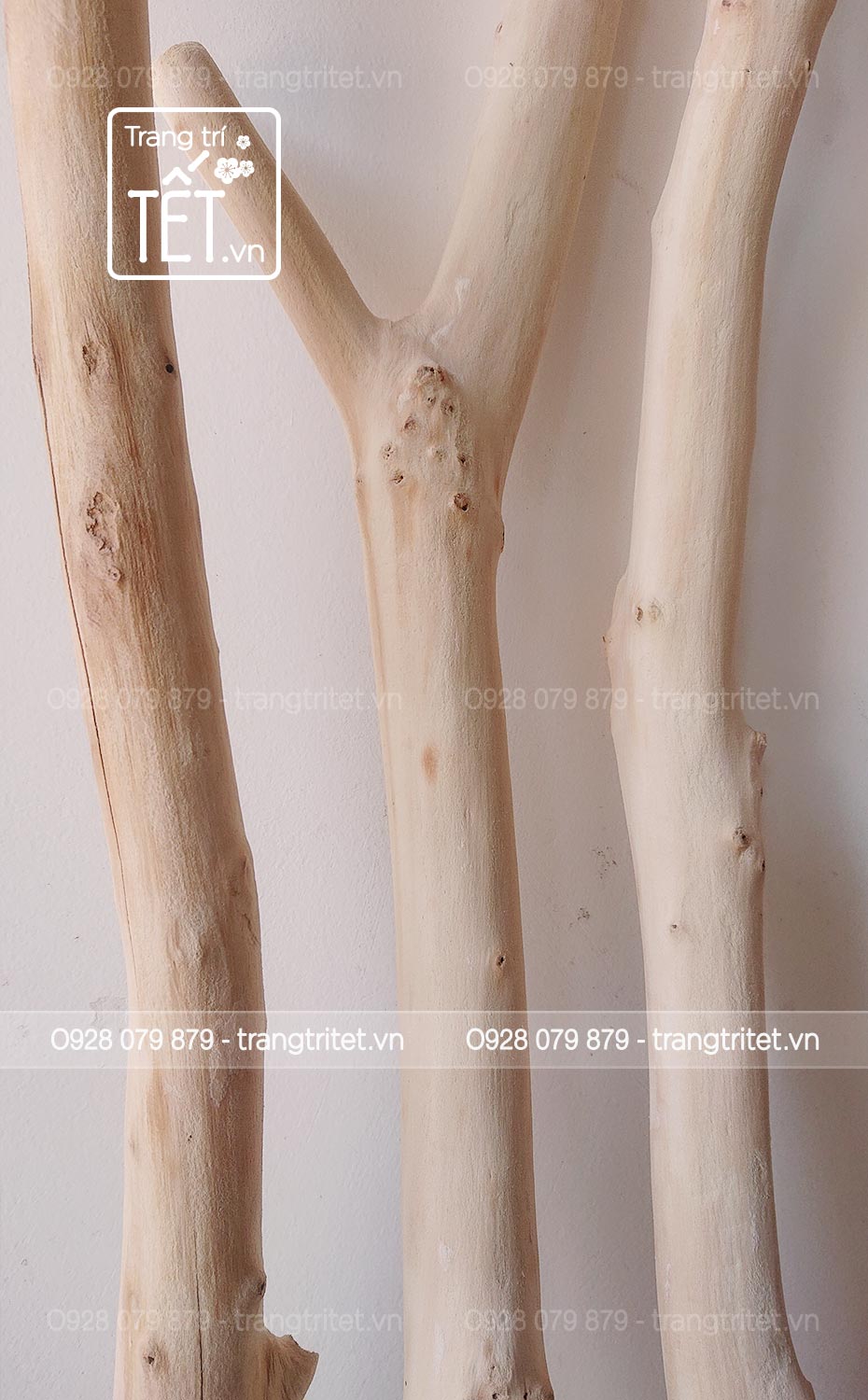 canh-cay-kho-decor-1 Cành cây khô decor