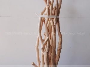 Cành cây khô decor