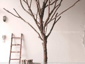 Thân cây khô trang trí - TRANG TRÍ TẾT - Đồ Trang Trí Tết