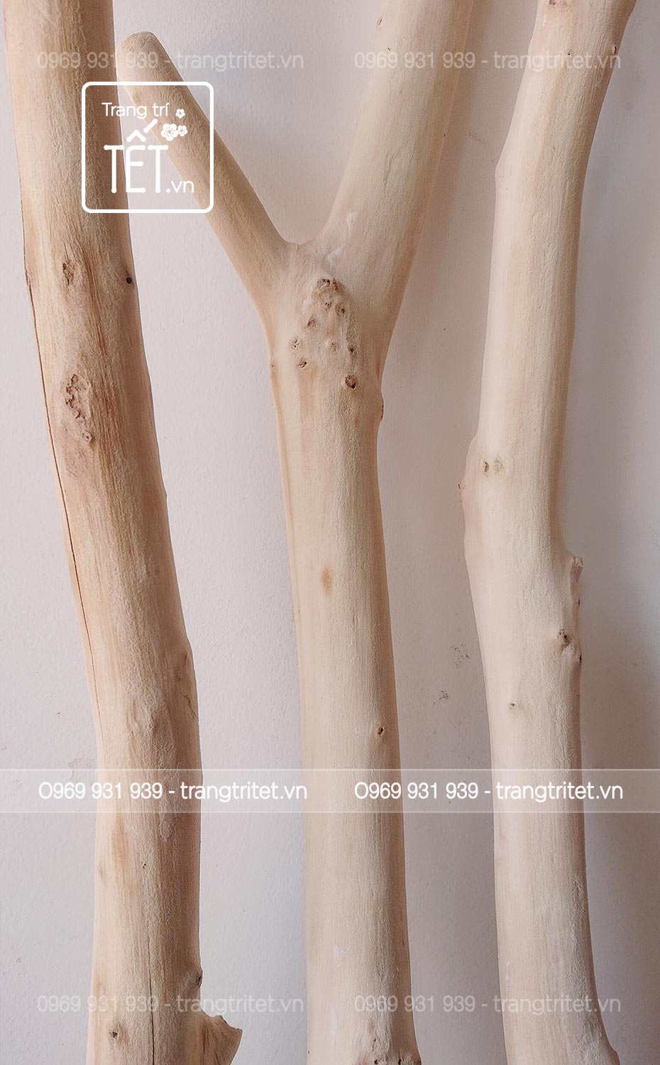 canh-cay-kho-decor-1
