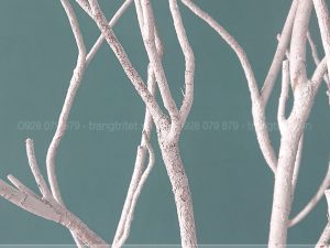 cành cây khô sơn trắng