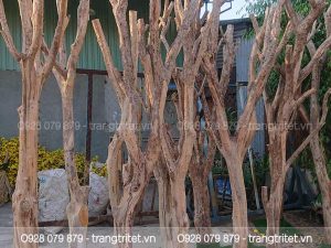cây gỗ khô trang trí